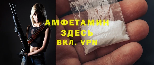 шишки Козельск