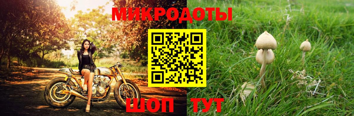Псилоцибиновые грибы прущие грибы Ирбит